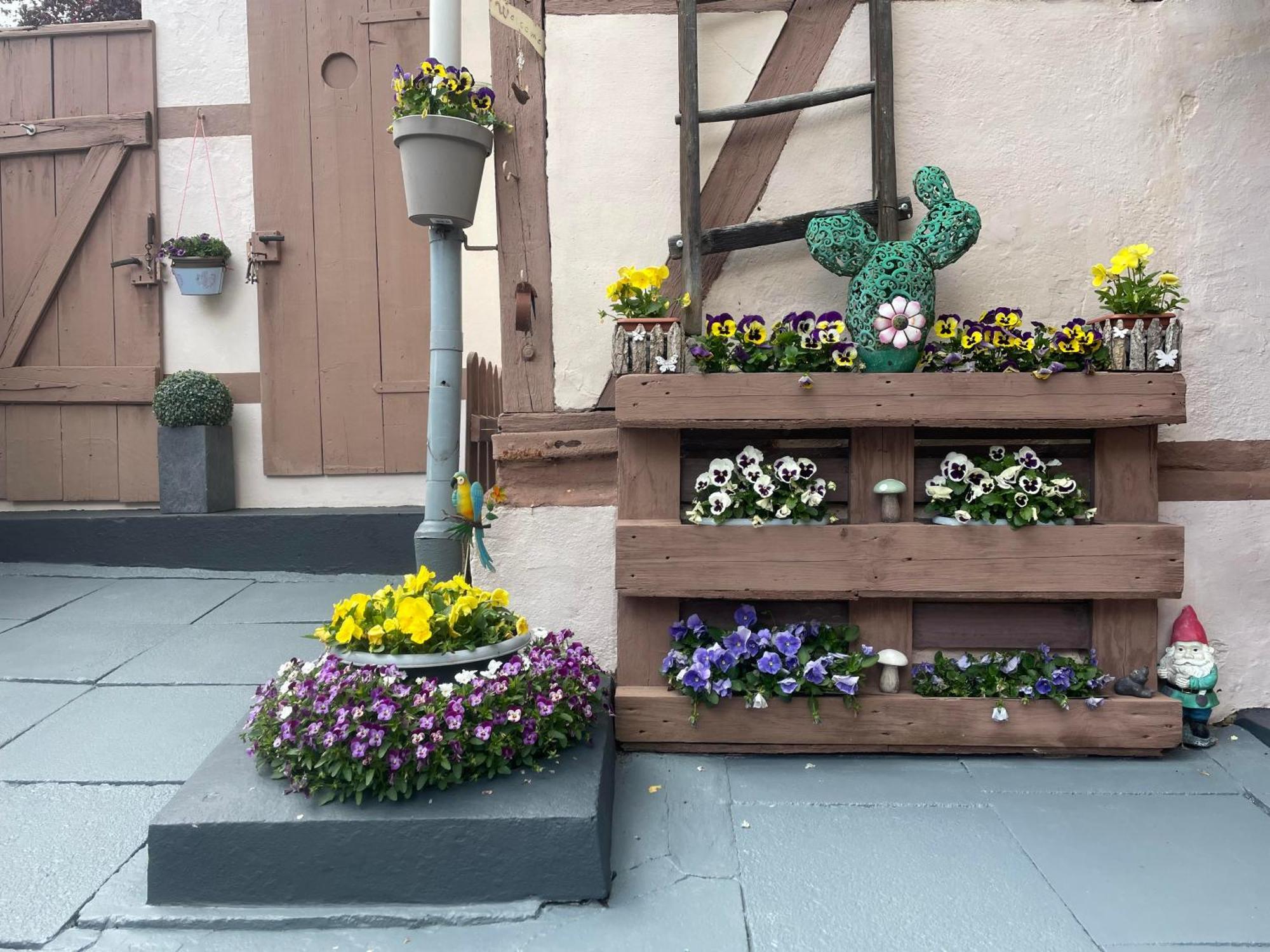 Ferienhaus Belkot バート・ザクサ エクステリア 写真